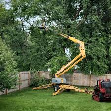Best Lawn Pest Prevention  in Sussex, WI