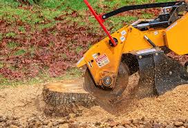 How Our Tree Care Process Works  in  Sussex, WI