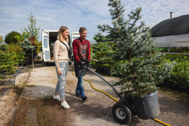 Best Leaf Removal  in Sussex, WI